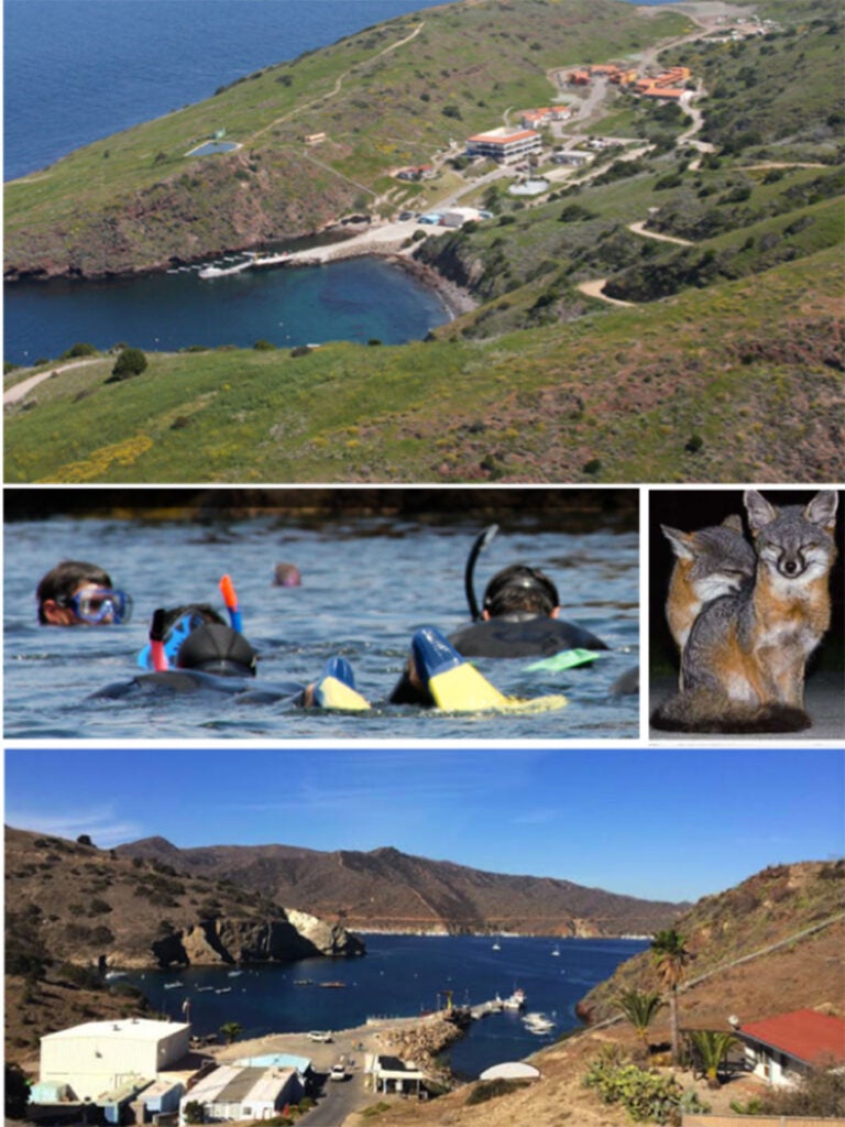 Images of the Wrigley Marine Science Center on Catalina Island.