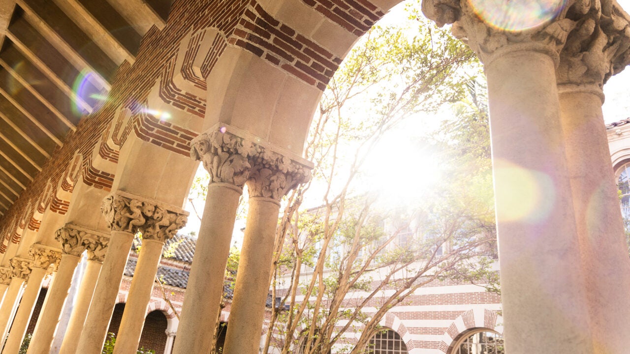 Pre-Professional Programs - Office of Admission and Student Success