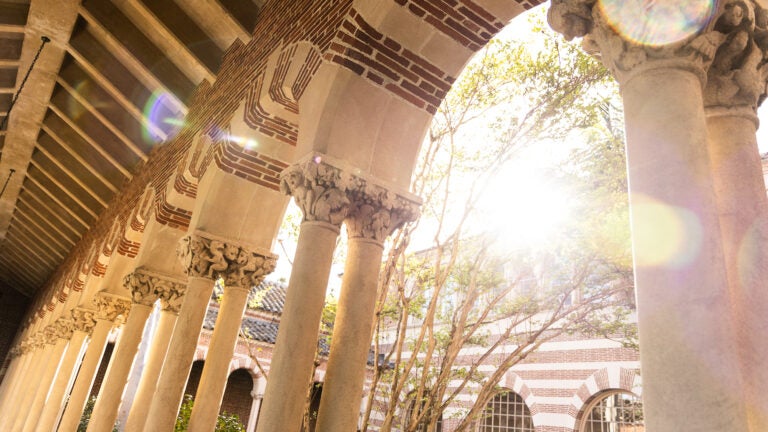 Mudd Hall with Lens Flare