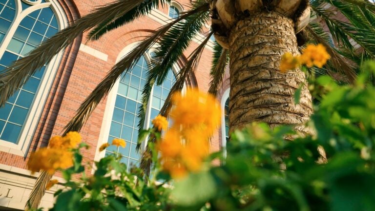Michelson Center Building with palm tree in the foreground.