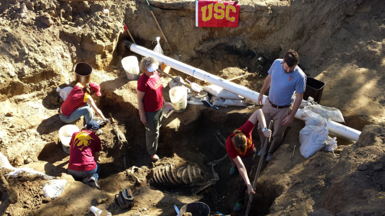 Archaeology program at the Native Diver dig site.