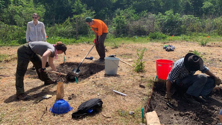 Archaeology Program at Providence Island, Colombia.