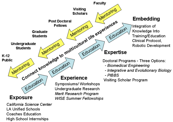 Chart displaying educational process