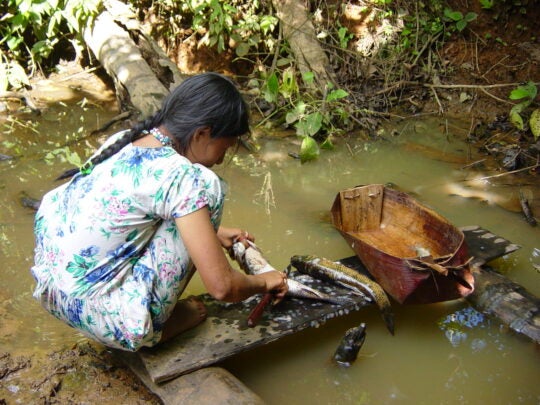 Girl cleaning a couple of freshly caught fish