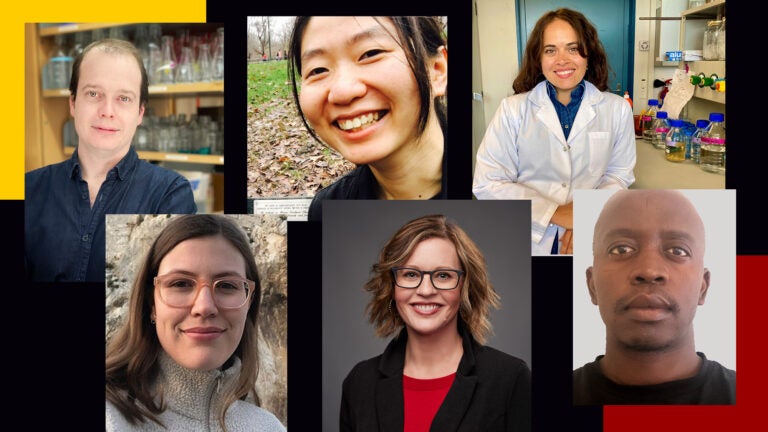 Meet spring’s new USC Dornsife faculty members