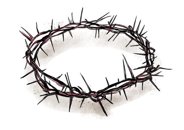 crown of thorns