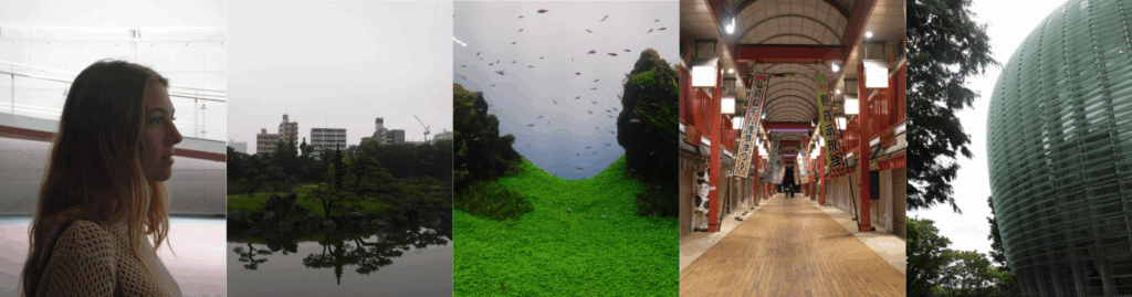 Banner images of Sophia Soll in Tokyo. Japan