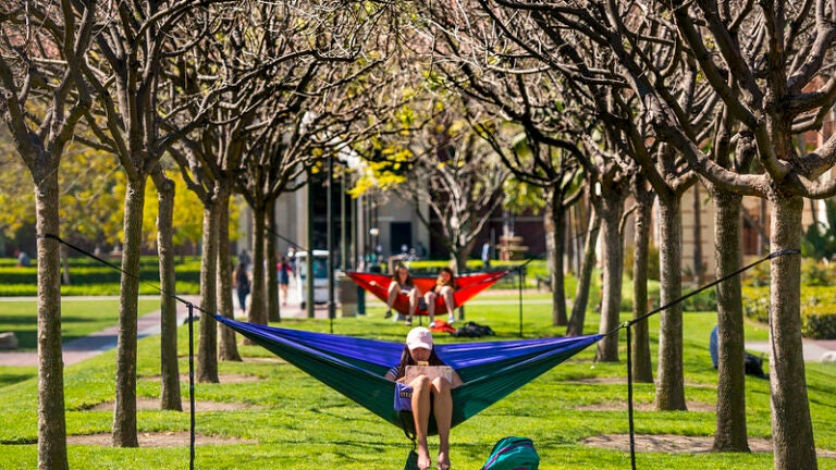 trees, students in hammocks