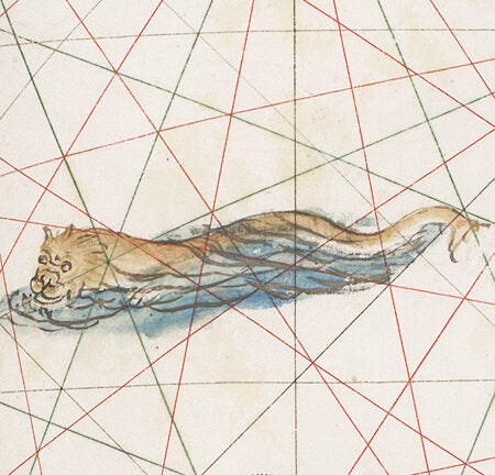 Tan sea monster swimming.