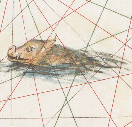 Pig-like sea monster.