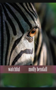A up-close image of a zebra looking attentively. Only a single eye of the zebra's is shown. The title and author name are displayed. 