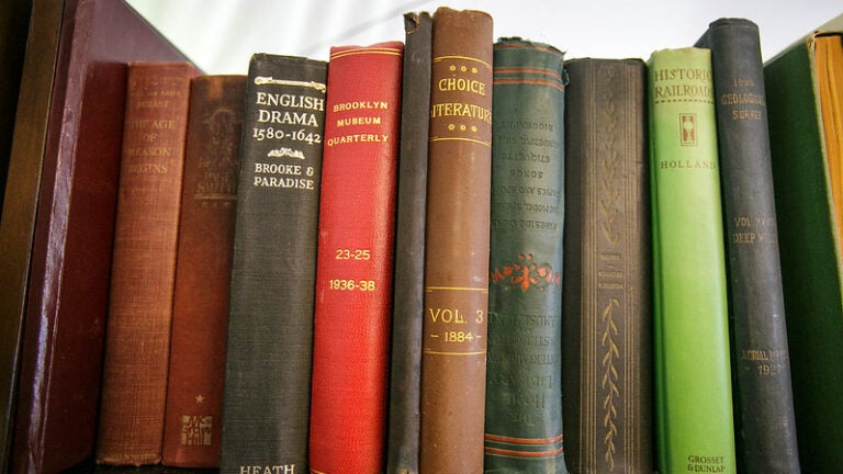 A close-up image of a section of a bookshelf. Book titles are listed on theses worn through books.