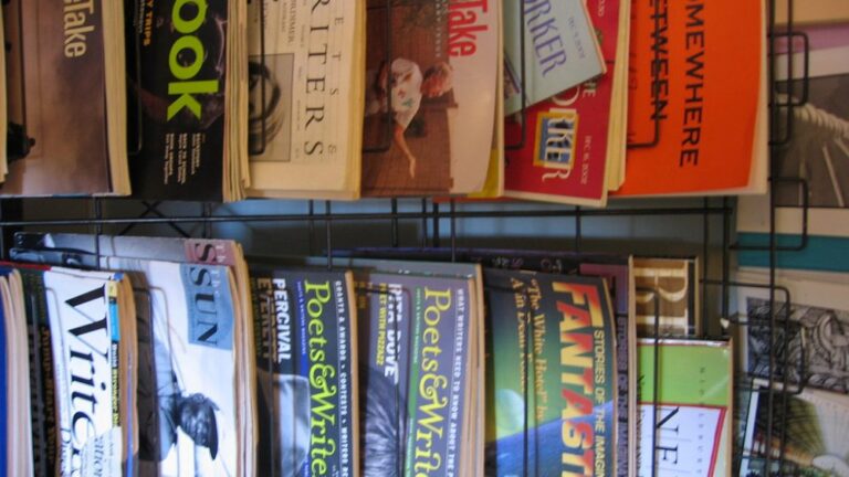 Multiple issues of various literary journals hang from a news rack.