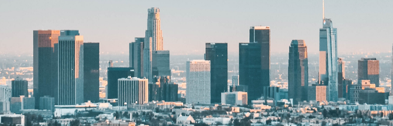 a view of the Los Angeles skyline