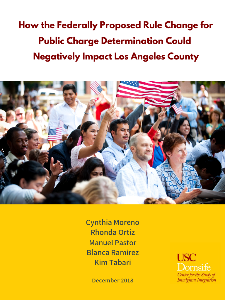 Report cover featuring diverse crowd of people holding flags of the United States