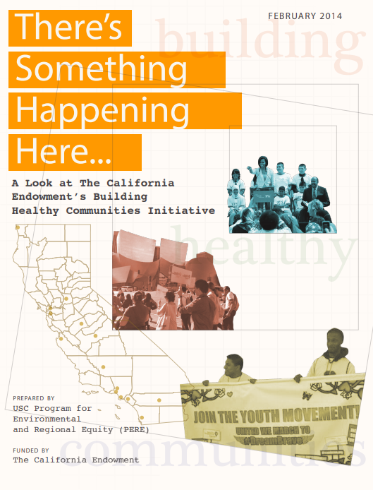 report image featuring photos of diverse youth and adult advocates supporting the youth movement