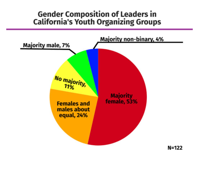 pie chart of gender composition of leaders in California's youth organizing groups: 1. majority female 53%, 2. females and males about equal 24%, 3. no majority 11%, 4. majority male 7%, and 5. majority non-binary 4%