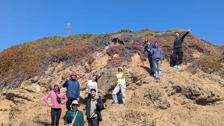 BISC 364L Maymester 2025