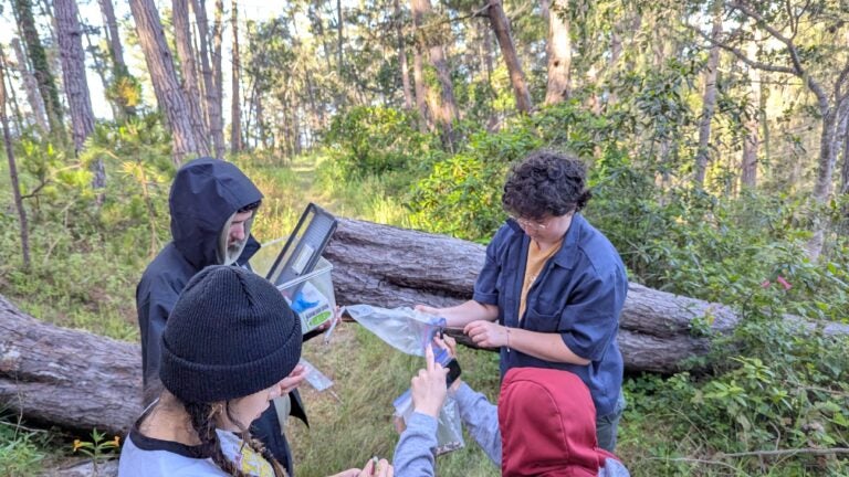 Lab excursion for BISC 364L Maymester 2025