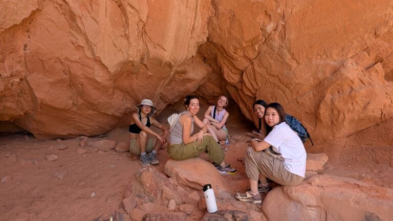 BISC 364L Maymester 2025