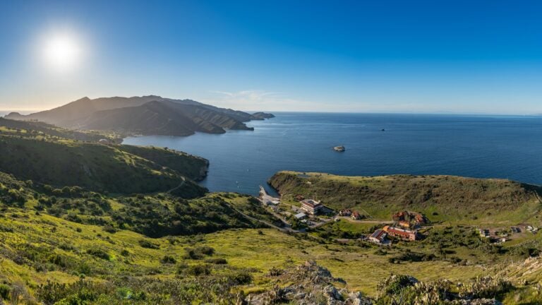 Photo of beautiful landscape of Catalina.