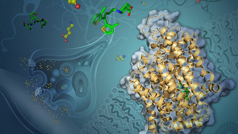 Photo of a protein structure.