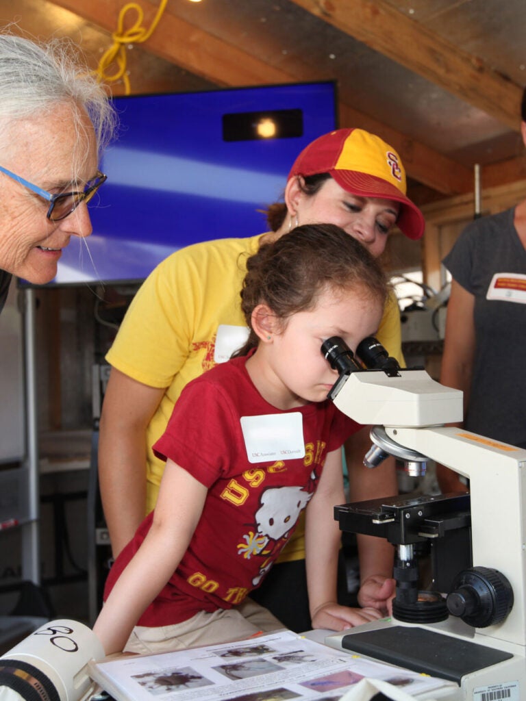 Photo of young child observing something in a microscope