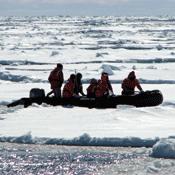 A groups studying Microbial Eukaryotes in Antarctica