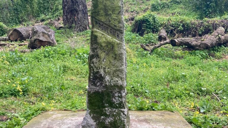 Moss covered obelisk on cement platform in wooded area with home in the background. Name Broderick carved into obelisk.