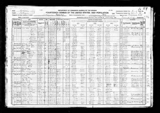 Page from the 1920 census.