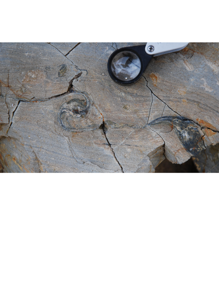 Closeup of a rock formation