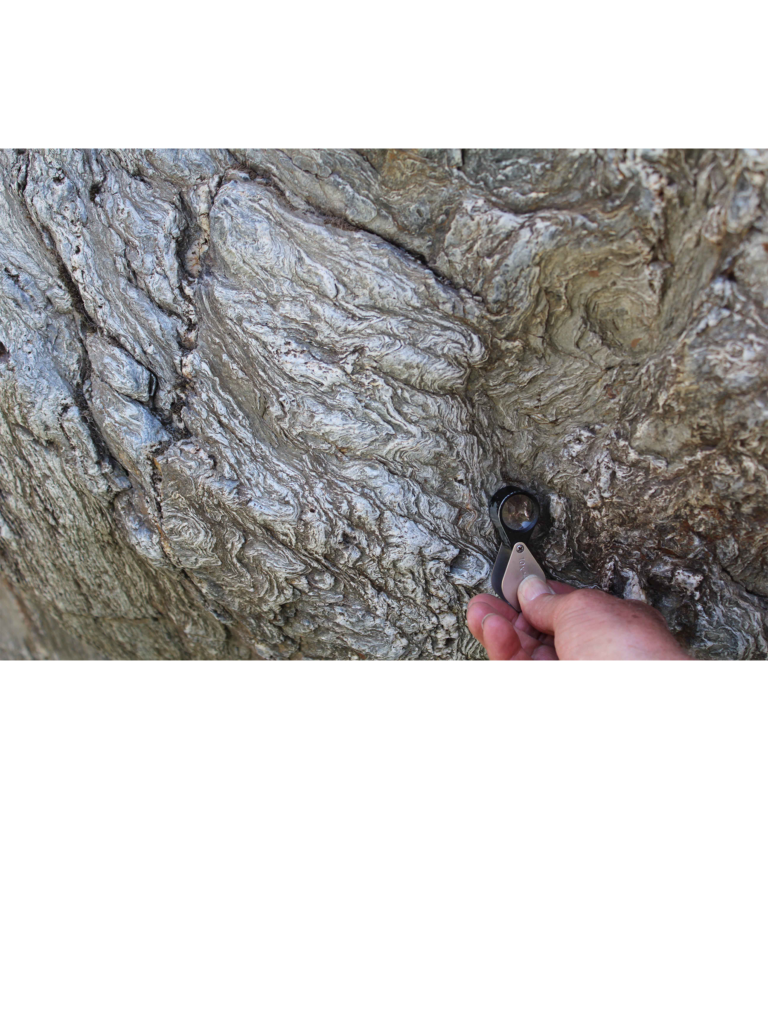 Closeup of a rock formation