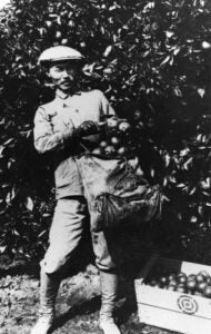 A photo of a man holding a bushel of oranges in black and white