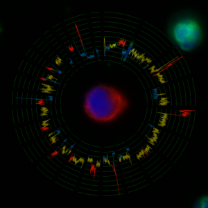 Microscopic imaging of single CTCs