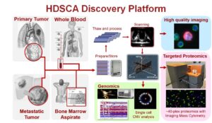 Illustration representing HDSCA discovery platform