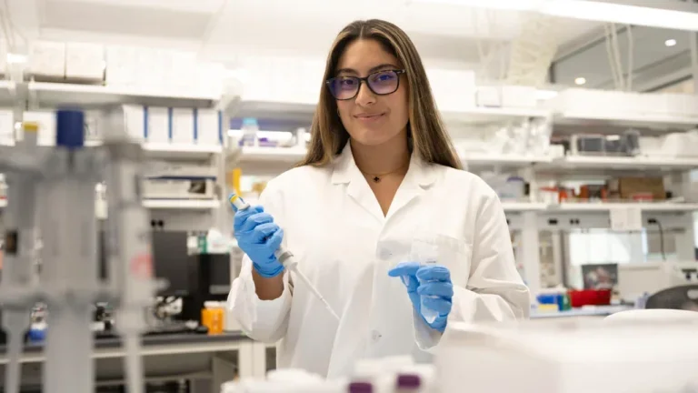 Undergraduate Summer Research