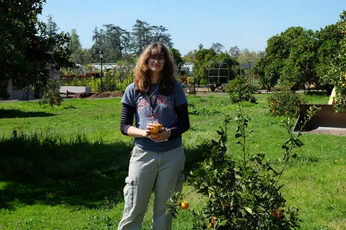 A student holding oranges poses in front of orange trees