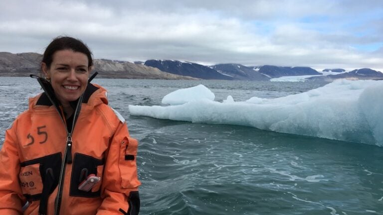 Karen Lloyd - iceberg