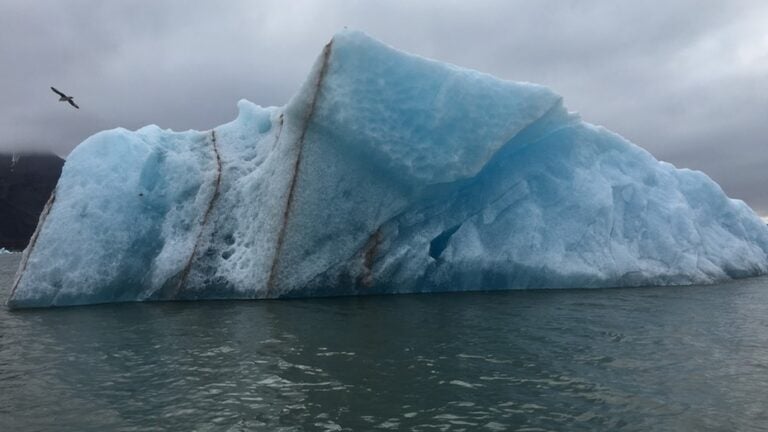 Iceberg with veins of sediments