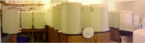 The Marine Culture Room at the marine laboratory on Catalina Island.  Each larval culture vessel shown is 200 liters.