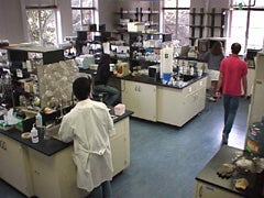 Lab workers in white coats working in the lab