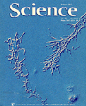Cover of the journal Science featuring blue frozen ice crystals