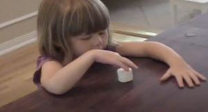 Child holding a marshmallow