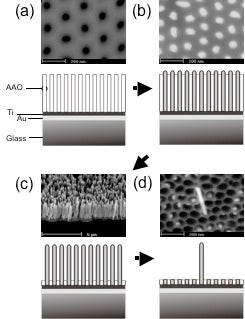 Antimony nanowire PH sensor image
