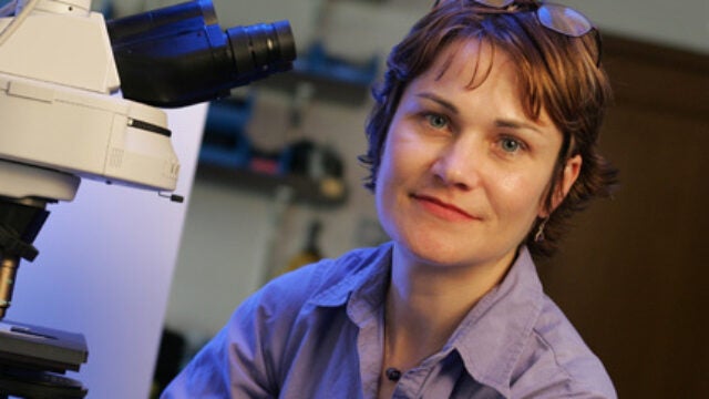 From Deep Sea to Dry Dock