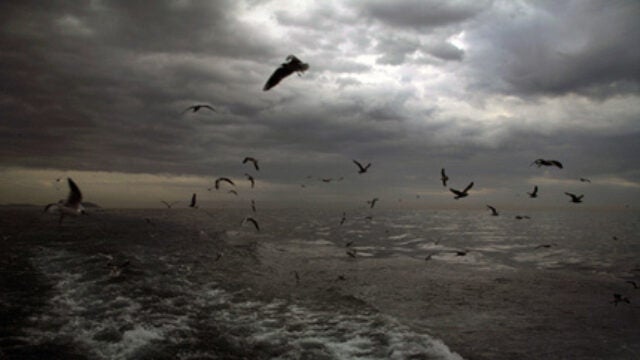 Vast Waters of the South Pacific