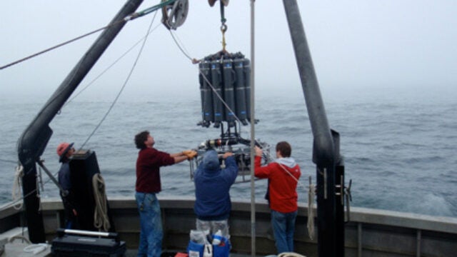 NSF Support for Probe of Microbes