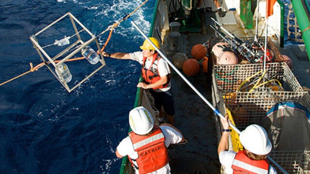 Vitamin ‘Deserts’ in the Ocean Identified