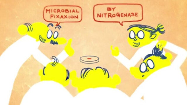 Jumping Off the Page