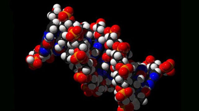 Affordable DNA Sequencing